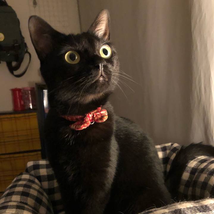 567d660b d994 4865 905f 407a46805517 1530831001946