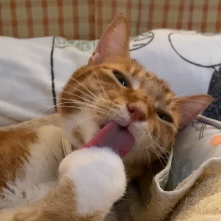 567d6742 56ef 4f77 948e f0609c382414 1662201239614