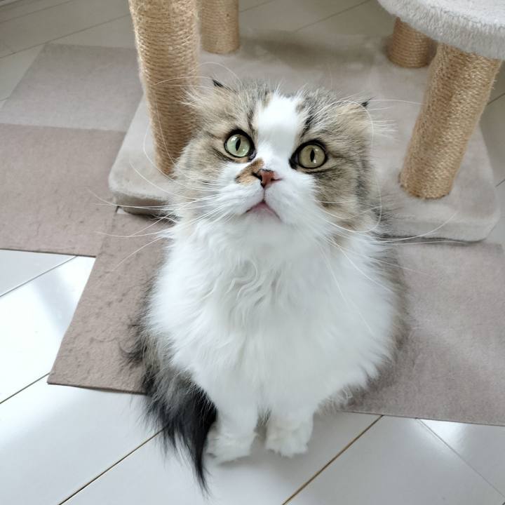 567d7529 50a0 47d2 b1c6 3866e9d7e478 1772409324091