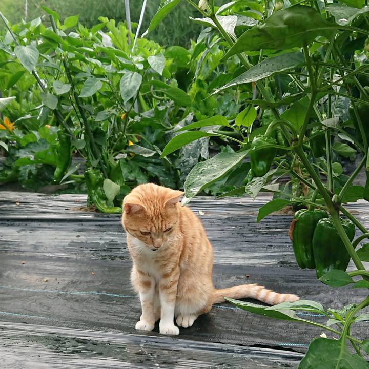 567d7e8a 86c0 4bde 976e 3ebf7a2f0161 1563829085276