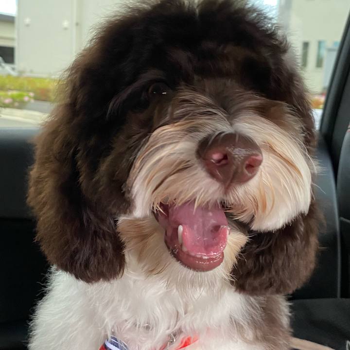 567d860e 9fff 4609 b01f 1fd4d767e585 1618723784368