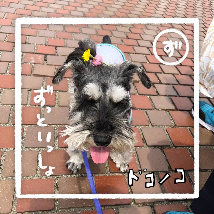 567dbb2c 261b 4265 b5c5 f88b6ce5e01d 1685937201448