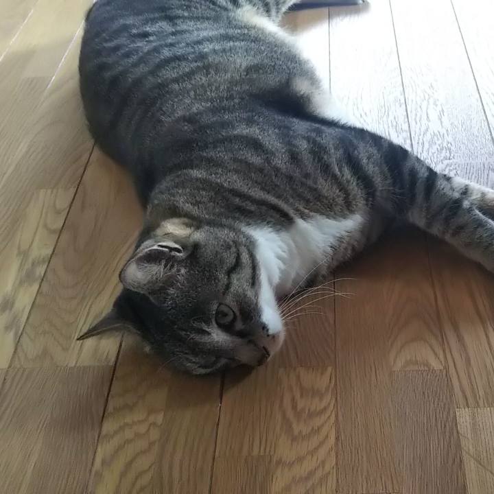 567e063b da6c 4847 8263 bfc27f9ea70b 1626423763752