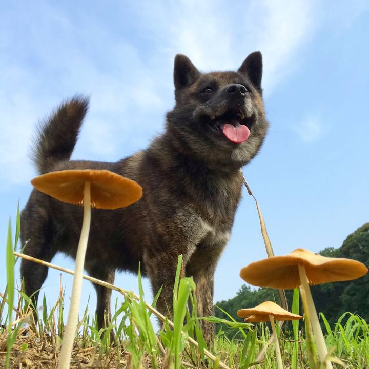 567e1948 38c4 48d2 8684 87c787c5bffd 1562110850515