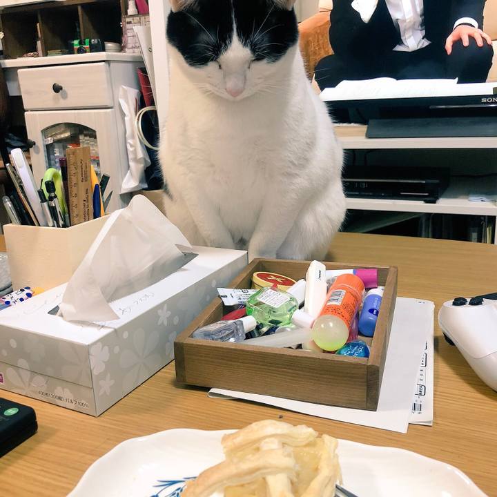 567e2ab9 d837 46f0 a3f6 db5bf30fd840 1544965214266