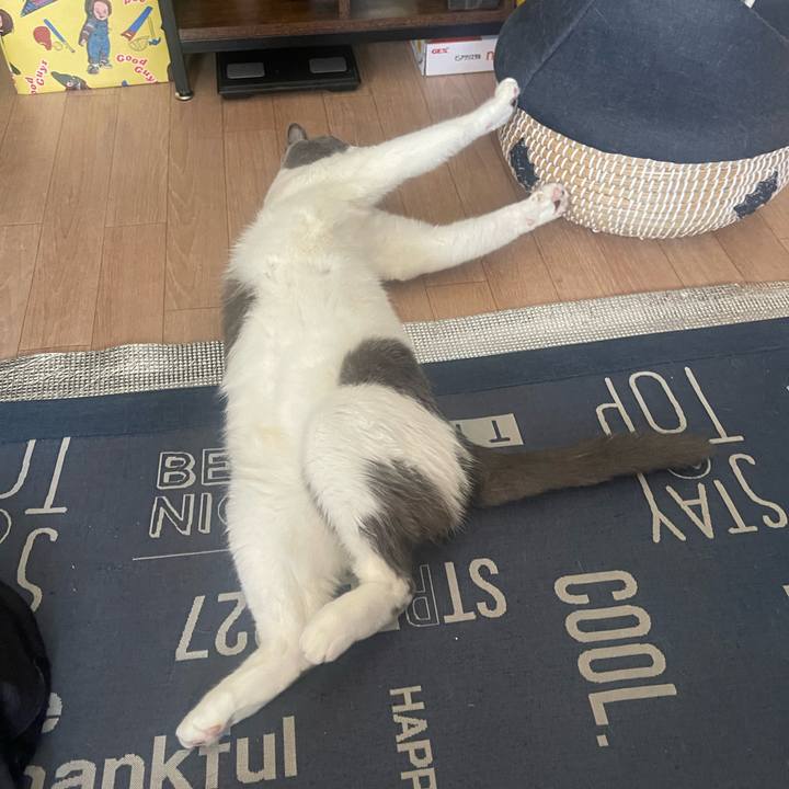 567e2c7b ff8f 4771 8847 a98ecc0a601a 1723939528436