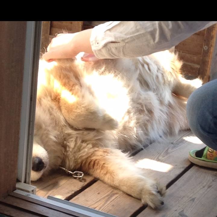 567e3ec1 02c5 4758 9ffa e74210dfbb71 1549581358347