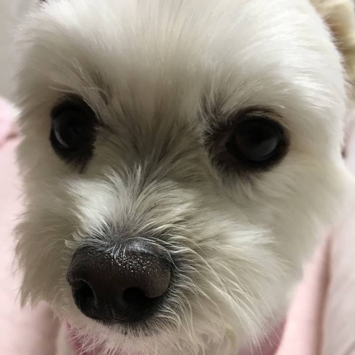 567e6800 2dba 4165 ae11 26b8794ab24c 1525956580935