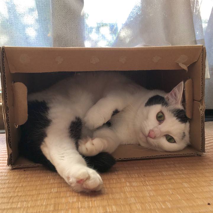 567e77b9 d52d 45db a1c5 1d27133dfeb7 1573029819210