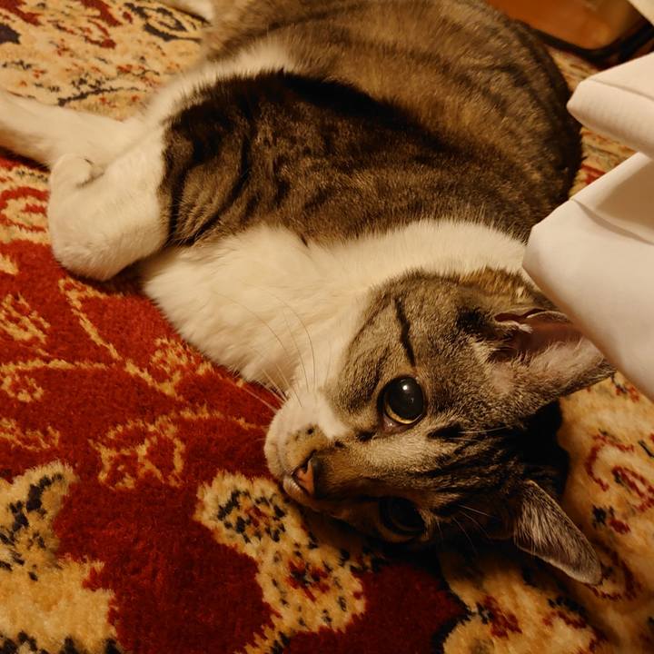 567e8c44 1b24 4970 bad1 1530810a133f 1706624500157