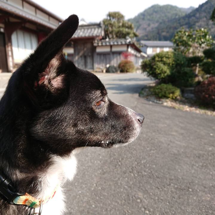 567ea23c 3efc 4612 bb42 19eb026226cb 1521072267379