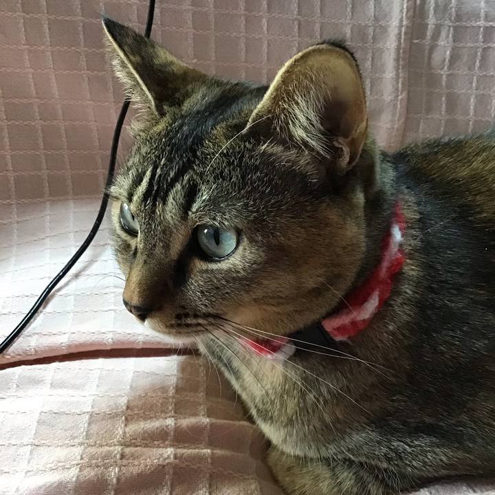 567eaca1 2552 40e2 bb67 49c35f7b12f8 1610005247049