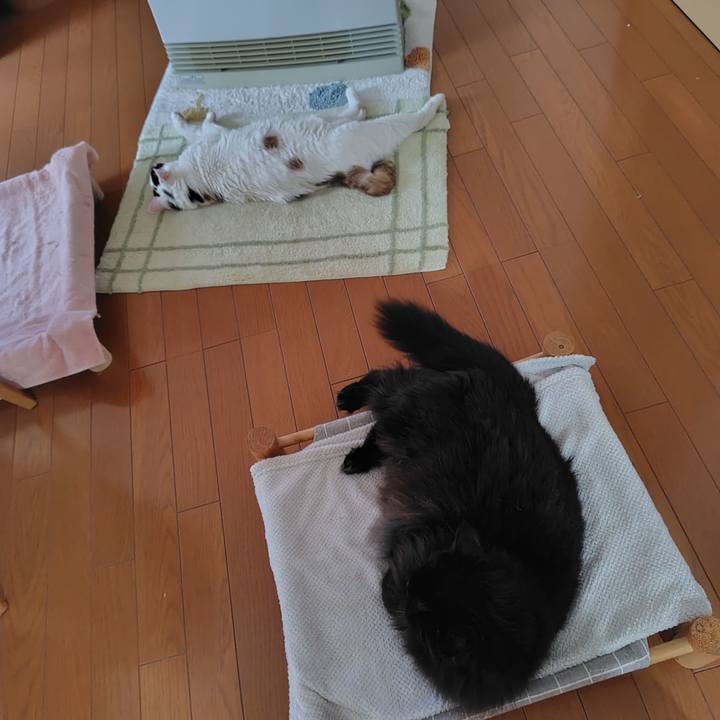 567ebdd0 c105 4206 a5c1 512f169fded1 1736894596951