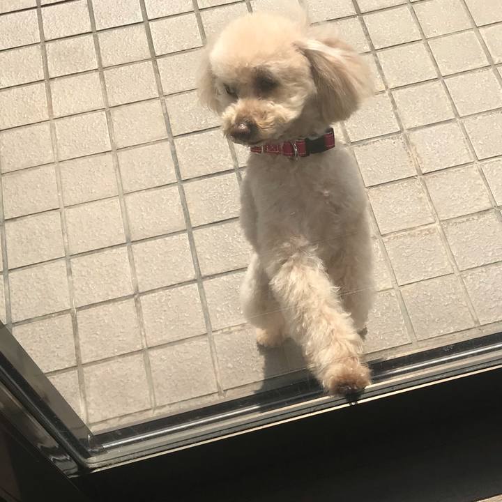 567ec6f4 27eb 455d b56d 214d616e2ed7 1584549042869