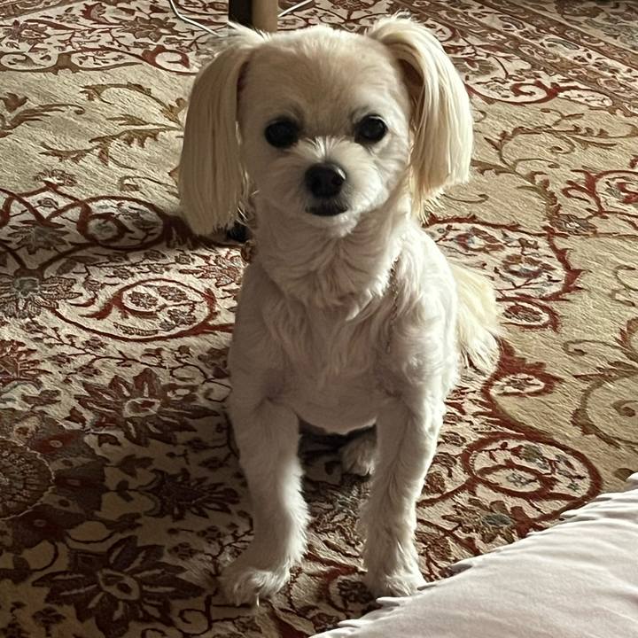 567edff4 c517 4d77 b4b2 67707a7eb128 1694850427990