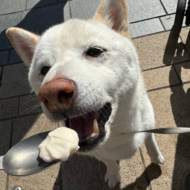 567eea04 0e2a 4e7f ab28 5399abcf39c3 1728995579904