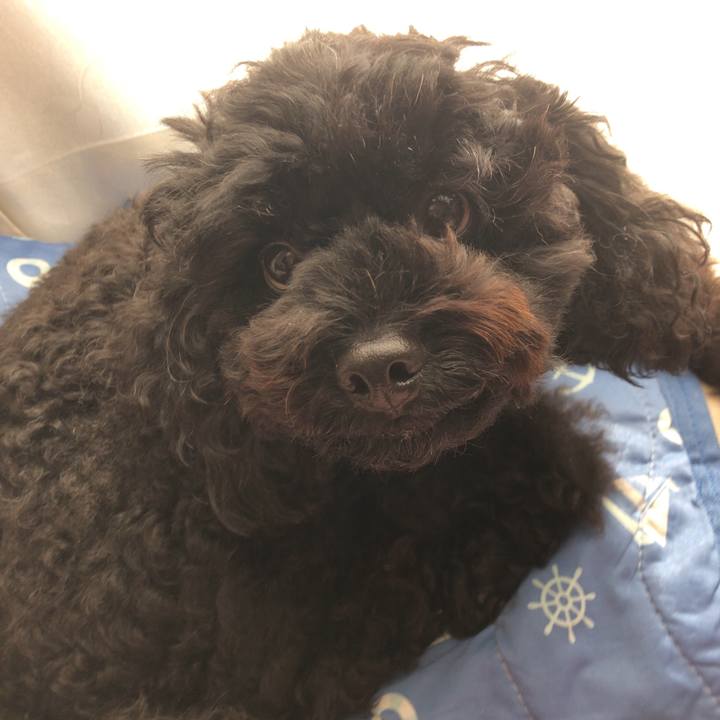 567f0db8 a8d9 491a a8a5 dcc340e50b6f 1540178186471