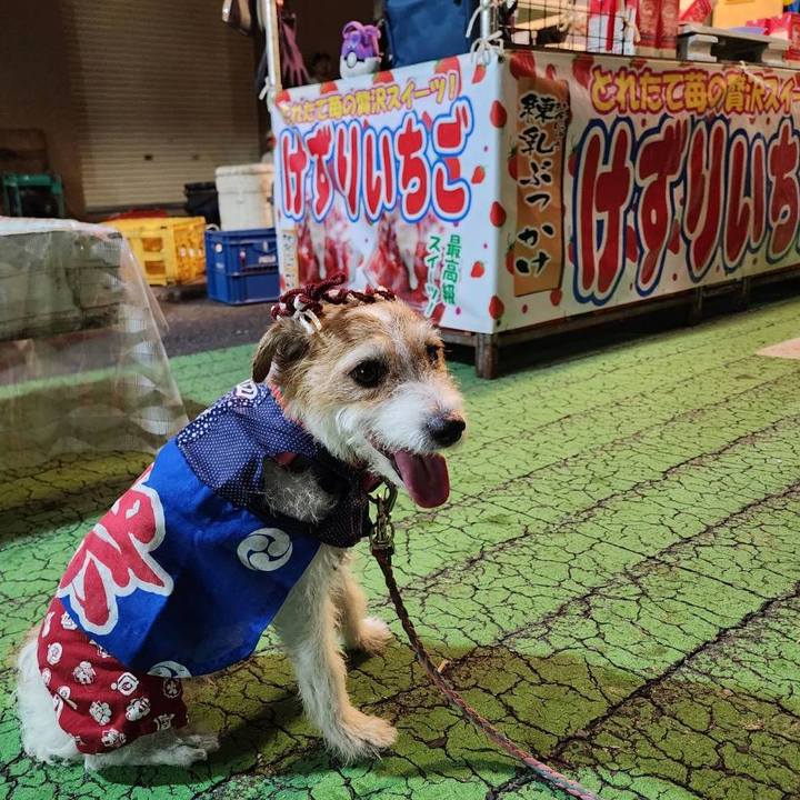 567f21d2 4789 4560 b073 c0d75644c279 1725836168604