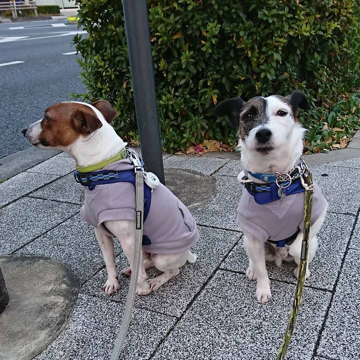 567f76f0 ff1a 4f05 8dea 1747ba33ac75 1578348761156