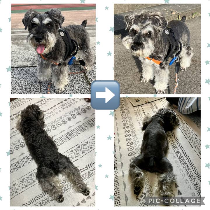 567fa8e5 10f1 481d 87ac c679d254a755 1751169919121