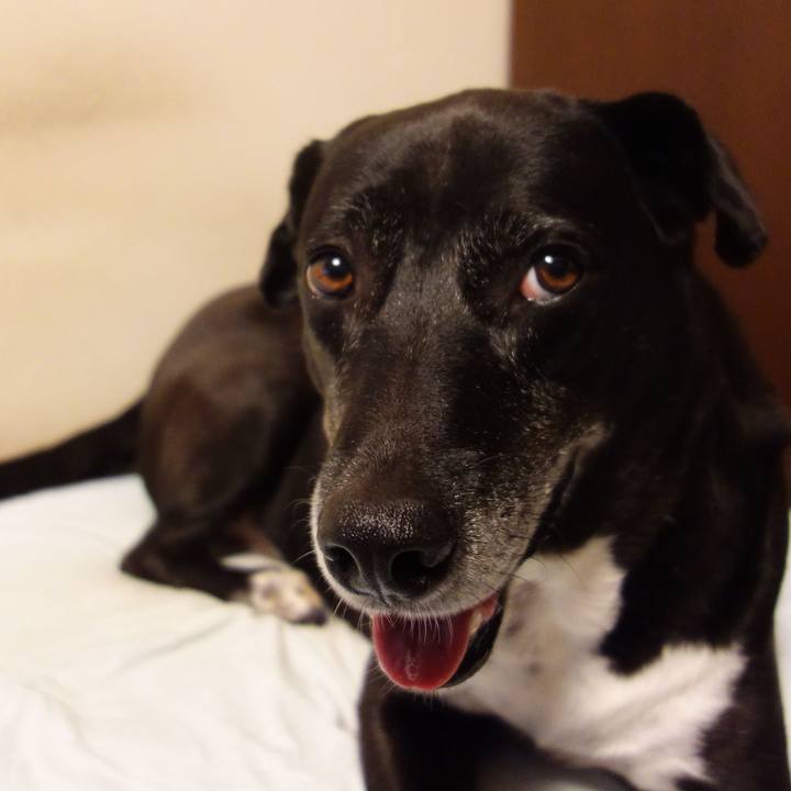 567faded 426f 48c0 a1ed 4657f34b5a6d 1726446600885