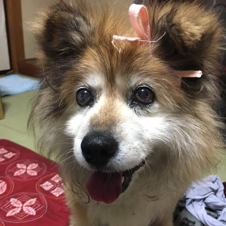 56801851 2663 4baa 8fca 6fd6df50b587 1547979598384