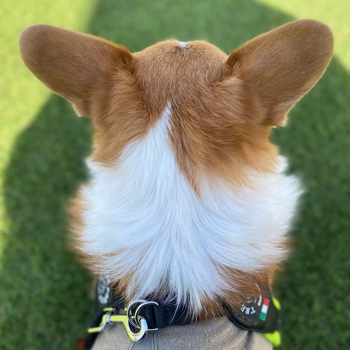 56807006 6e2e 4748 b61e 88320198650f 1769947046374