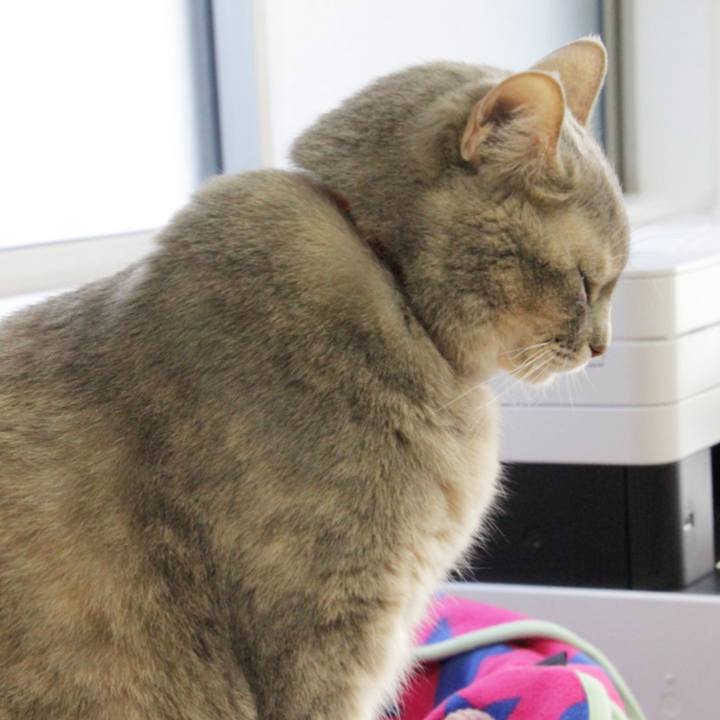 568099c8 1c44 4671 9c71 991e2ef1ecc6 1603856858111