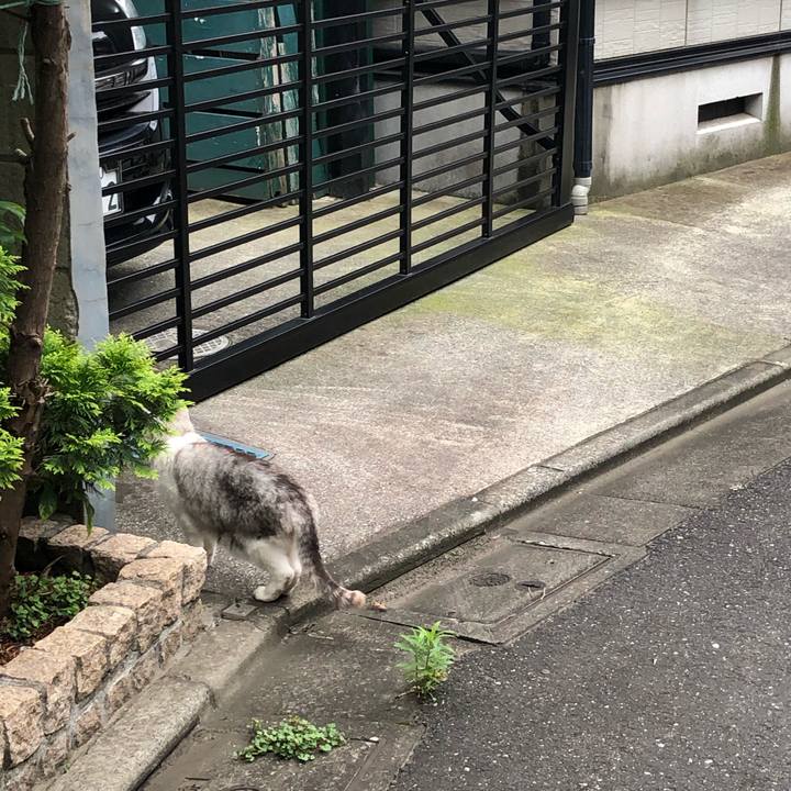 5680cca9 8291 4f4b a9d8 4583614eb10a 1563105526561