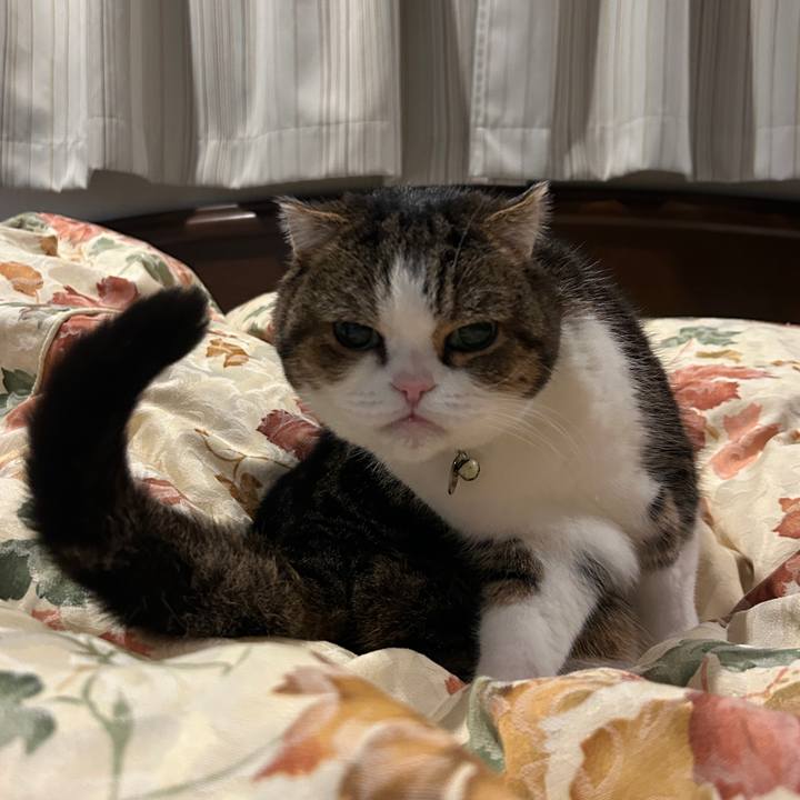 5680d457 2082 436b a39e 6a7ab0853a5a 1772321636907