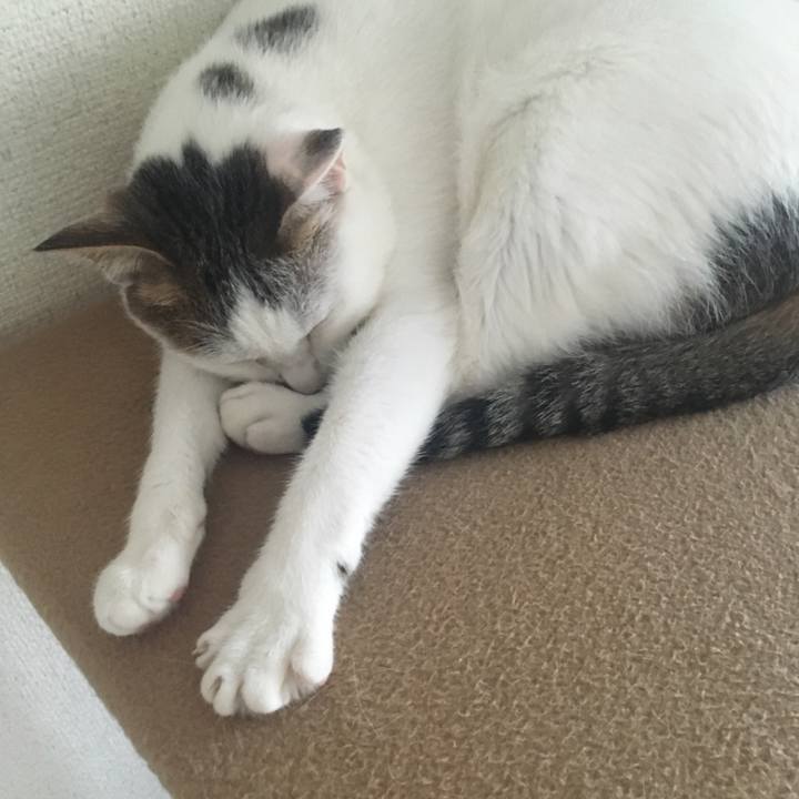 5680e699 9983 423a 855a 1392a395681a 1538915104433