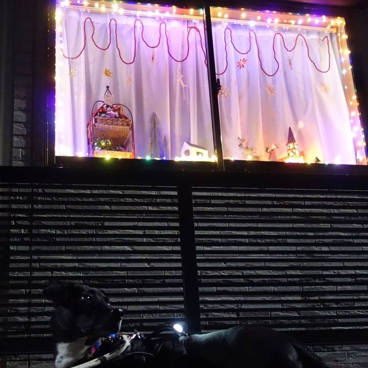 5680e84c 0a69 41ae a0d1 4e27b31d74d2 1638529866281