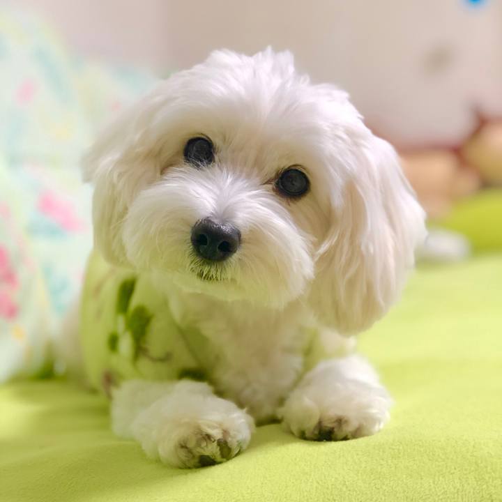 5680eefb 015a 4fe1 8470 062e5c94f244 1544919471151