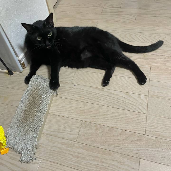 5680fc0c a462 4190 87be d2a3851c1069 1750507506708