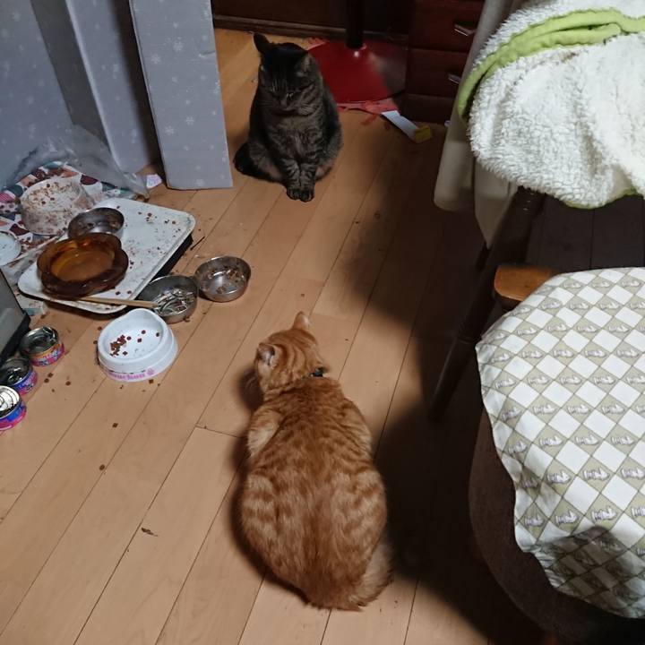 568127b8 8994 48fc bf82 566a43f0e910 1642158252946