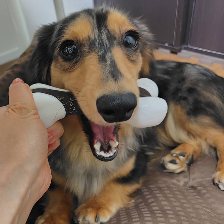 56812f06 1fc6 4b98 872b fb2f94dd4689 1720004340134