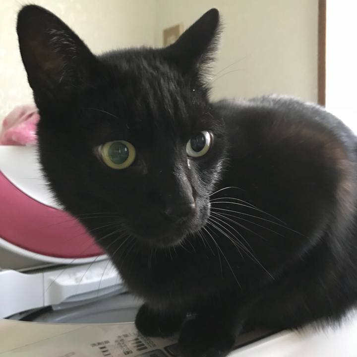 5681336d 0765 4515 944c 10d76cea9dfd 1511486265554