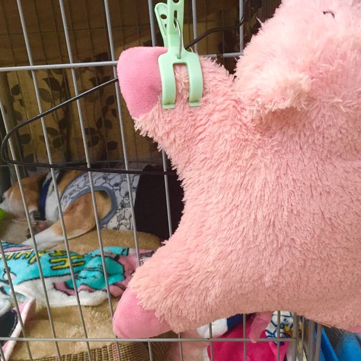 56815aae 74f6 460a b2db d988cacba685 1574222067018