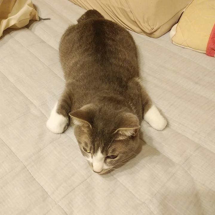 56816d94 d6f1 4032 8324 42ed12f9b1b8 1590244457393