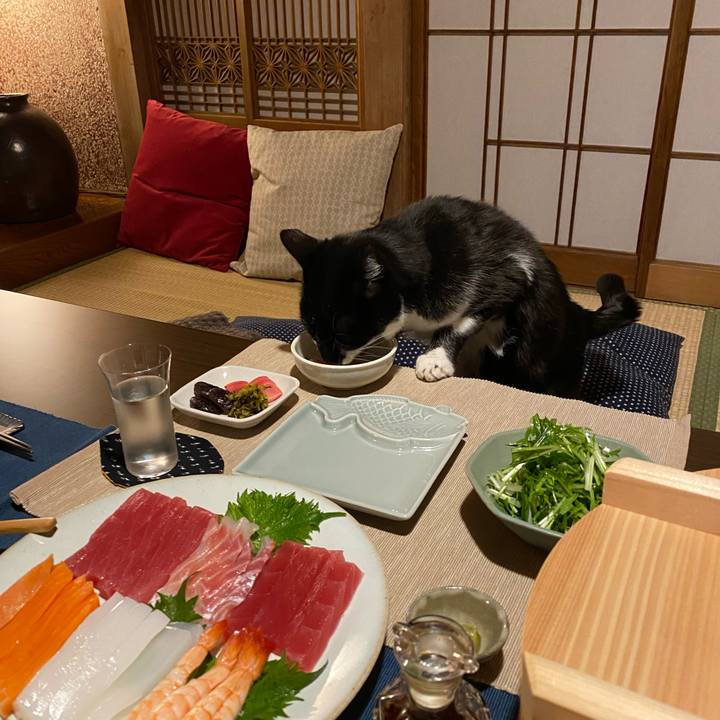 56817bc6 47a7 4f1b b726 015ccc4ae340 1645615756241