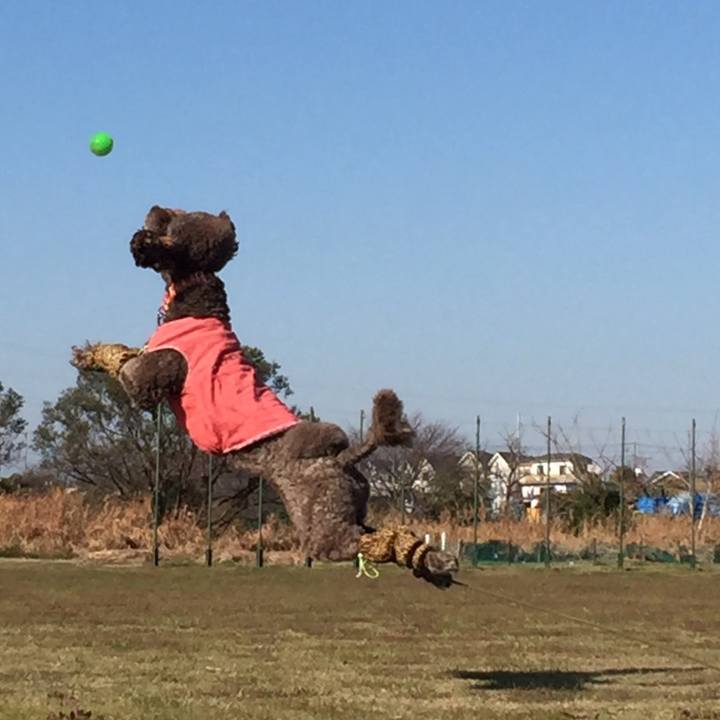 56818058 24bd 48f6 9360 7755e51f8f9b 1512618809599