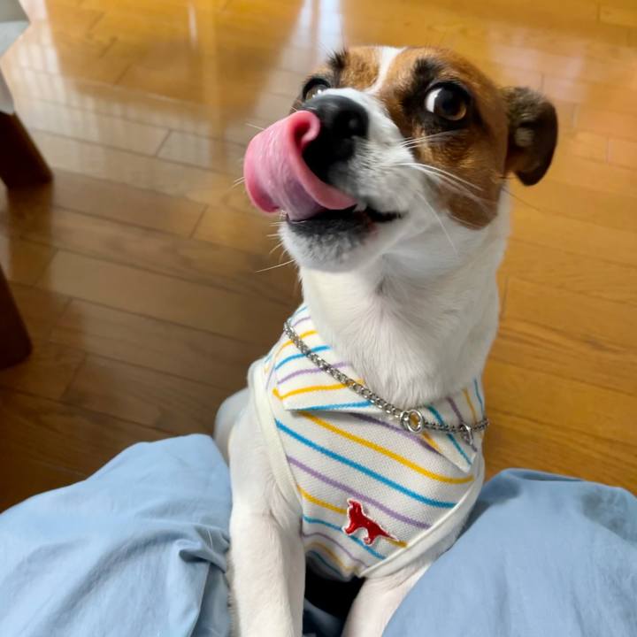 5681dd4d 941f 4fbd aefc 6686ef315d52 1624779248862