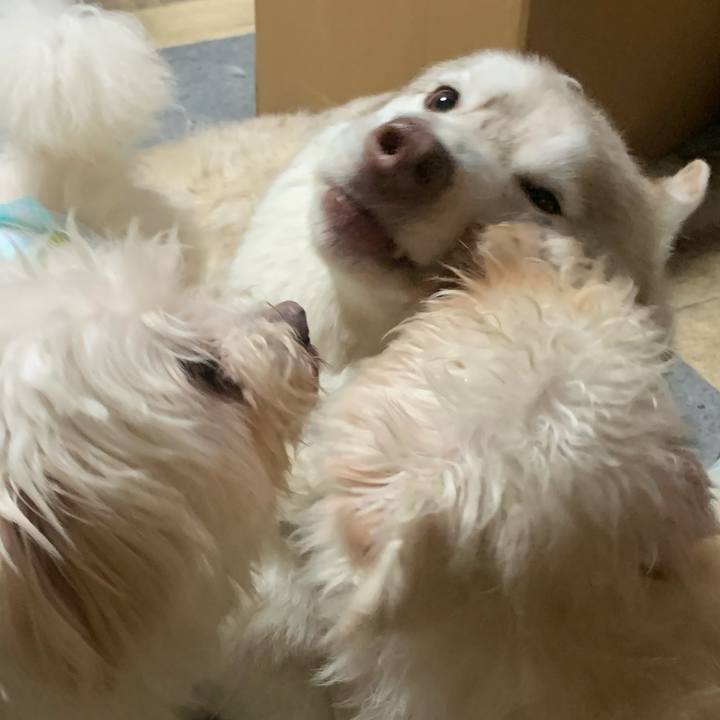 5681df5b 9262 4d1d 9b7c 8863944740b6 1719660123438