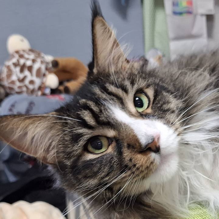 56823d4f 3882 4418 9b39 5cf55e36f0ab 1738628515525