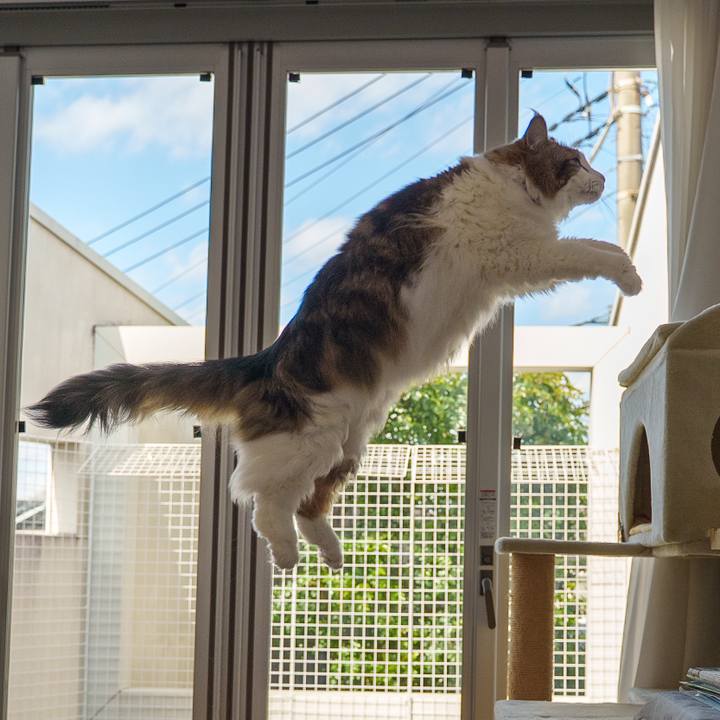 56826ad7 8d37 4053 bea7 63cc69928bd7 1742449363830