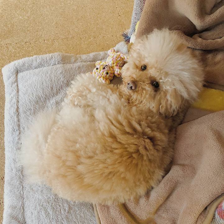 56828461 6f6c 4402 bd65 058342c9f5f2 1520584044485