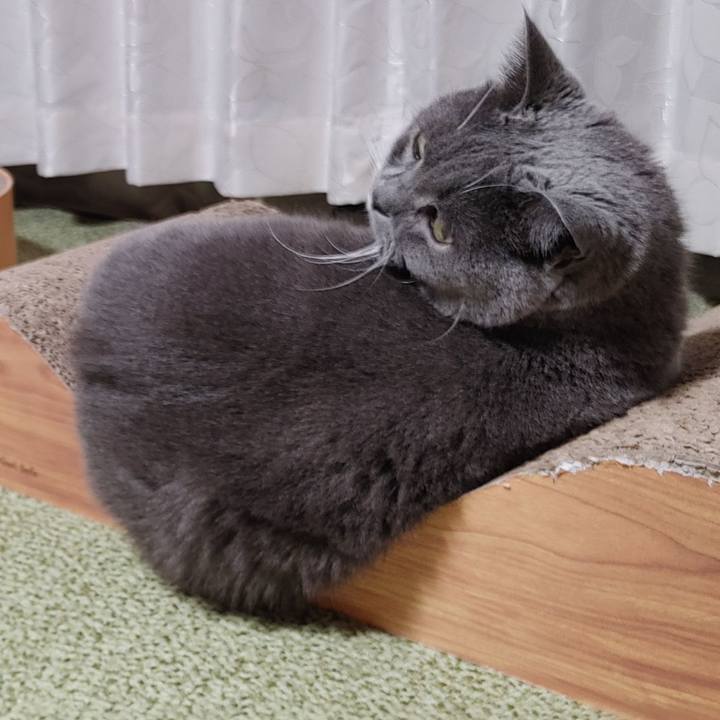 56829636 4d3d 43aa bd10 ed82d7f39970 1659962671137