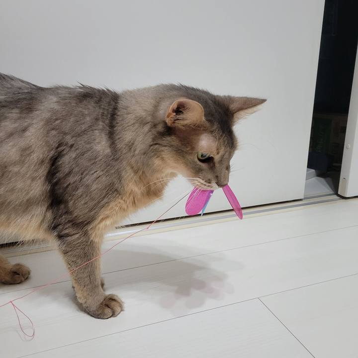 5682b2cd 5c0a 4c91 bced dc885fa21853 1692853727431