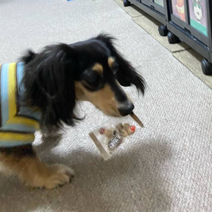 5682d2f6 3650 4b46 8e12 8060db394fa1 1738495064177