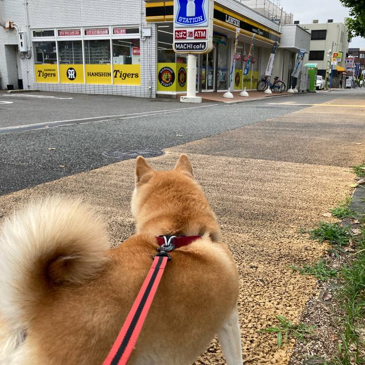 5682e8d2 6dae 4b95 a77f 66a0c095e1b2 1625044386279